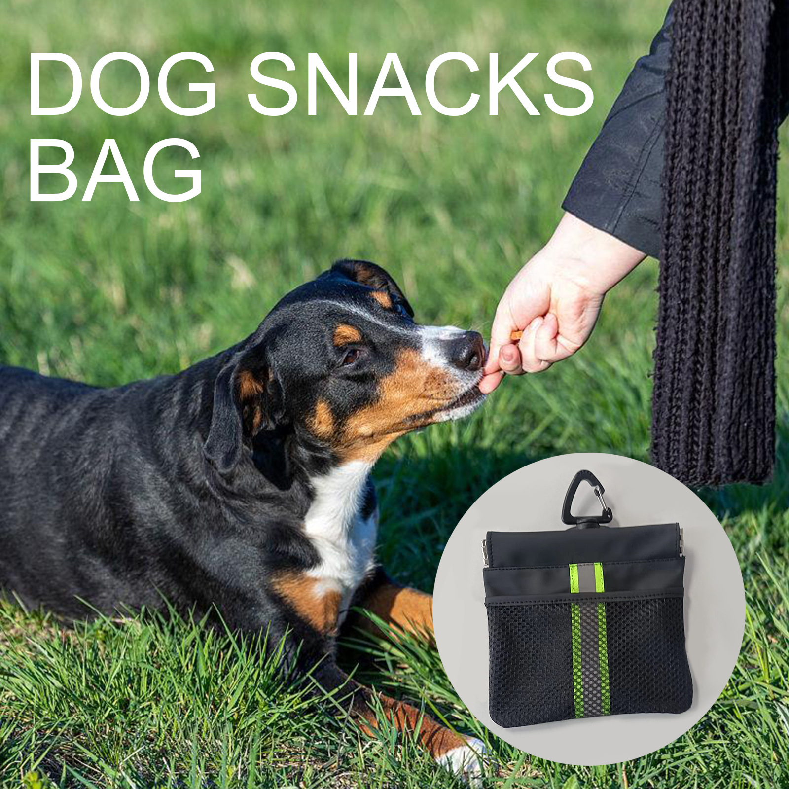 Waterproof Pet Training Bag